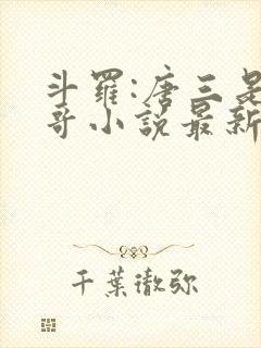 斗罗:唐三是我哥小说最新章节