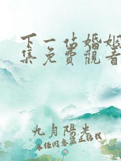 下一站婚姻40集免费观看电视剧