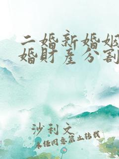 二婚新婚姻法离婚财产分割