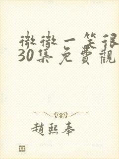 微微一笑很倾城30集免费观看全集