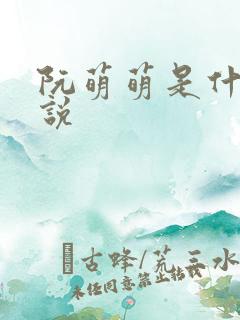 阮萌萌是什么小说