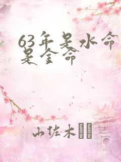 63年是水命还是金命
