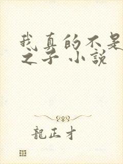 我真的不是气运之子 小说