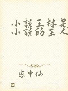 小说王林是哪本小说的主人公