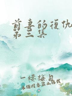 前妻的复仇日剧第三集