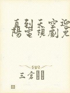 直到天空迎来太阳电视剧免费观看