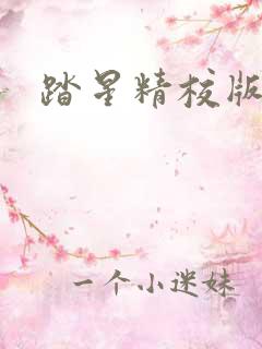 踏星精校版下载