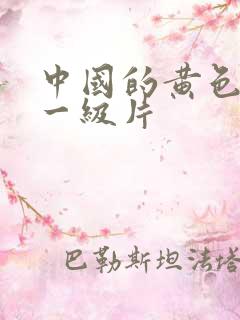 中国的黄色录像一级片