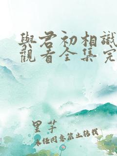 与君初相识免费观看全集完整版