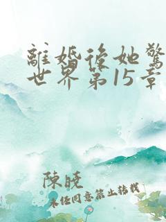 离婚后她惊艳了世界第15章