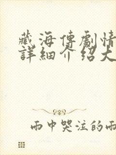 藏海传剧情分集详细介绍大全