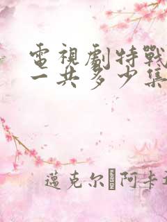 电视剧特战荣耀一共多少集