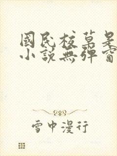 国民校草是女生小说无弹窗