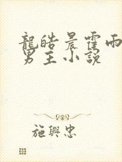 龙皓晨霍雨浩双男主小说