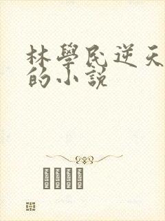 林学民逆天改命的小说