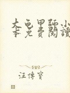 大龟甲师小说全本免费阅读