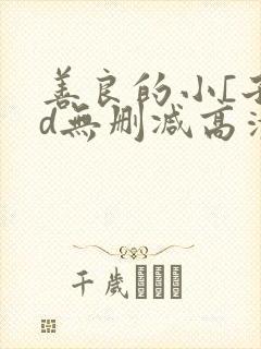 善良的小[子hd无删减高清