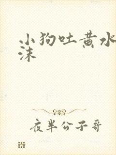 小狗吐黄水带泡沫