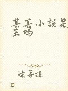 某某小说是双男主吗