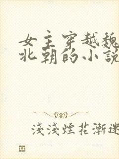 女主穿越魏晋南北朝的小说