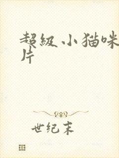 超级小猫咪动画片