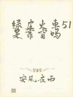 绿皮火车51号是靠窗吗