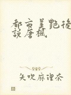 都市美艳后宫小说唐枫