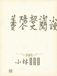 叶阳黎洁小说免费全文阅读最新章节