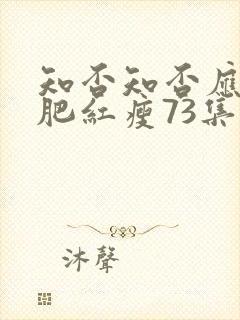 知否知否应是绿肥红瘦73集