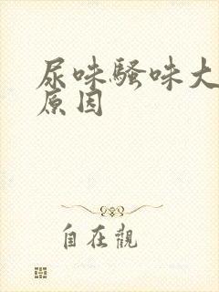 尿味骚味大什么原因