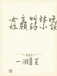 女主叫林晚男主姓顾的小说