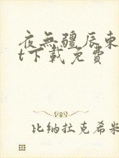 夜无疆辰东txt下载免费