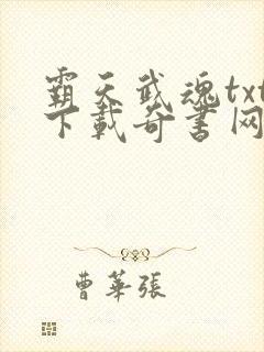 霸天武魂txt下载奇书网