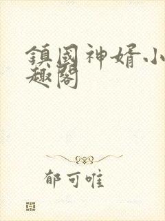 镇国神婿小说笔趣阁