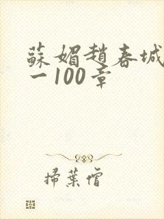 苏媚赵春城49一100章