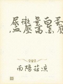 尿微量白蛋白高,血压高怎么治疗好