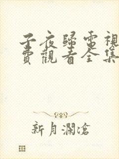 子夜归电视剧免费观看全集高清第19