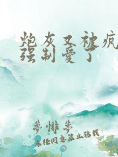 炮灰又被疯批 强制爱了