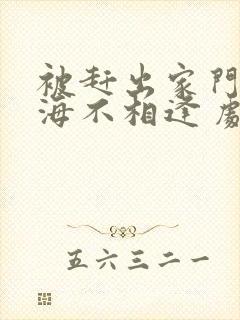 被赶出家门后山海不相逢 剧