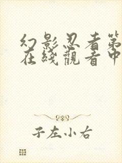 幻影忍者第八季在线观看中文版