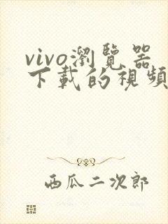 vivo浏览器下载的视频在哪个文件夹