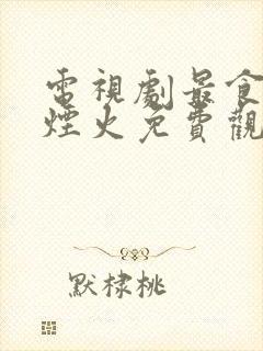 电视剧最食人间烟火免费观看