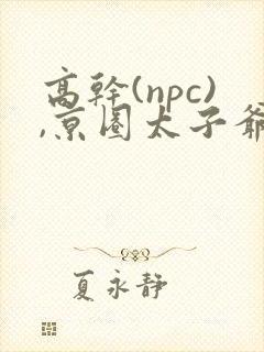 高干(npc),京圈太子爷