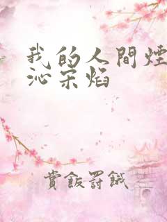 我的人间烟火许沁宋焰