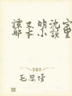 谭又明沈宗年是哪本小说里的