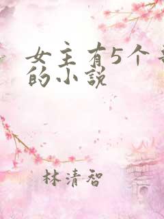 女主有5个哥宠的小说