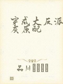 穿成大反派的炮灰原配