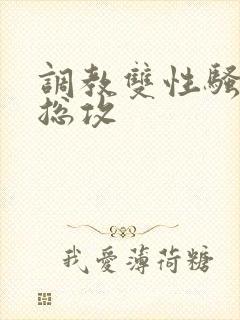 调教双性骚货(总攻