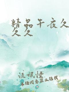 精品午夜久久久久久