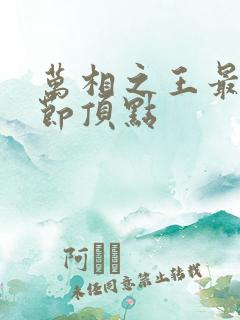 万相之王最新章节顶点